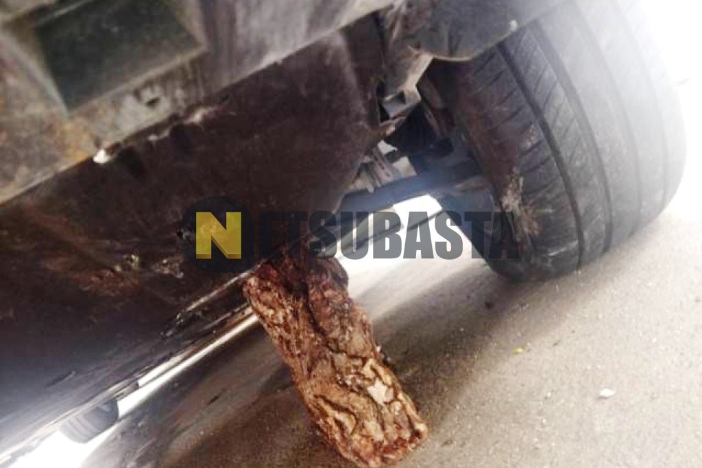 Peugeot 508 SW 1.5 BlueHDi EAT8 2023