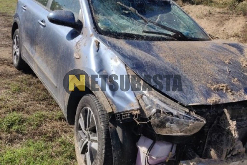 Kia Niro 1.6 HEV 2021