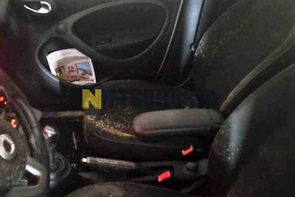 Smart forfour 0.9 twinamic 2018