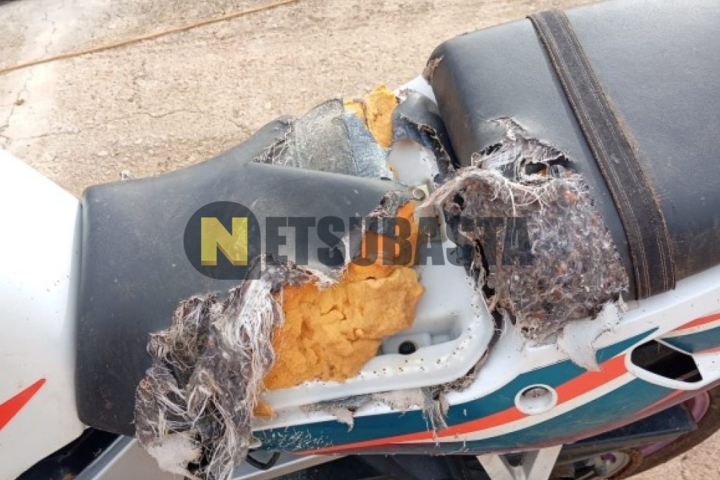 Yamaha FZR 600 Genesis 1995