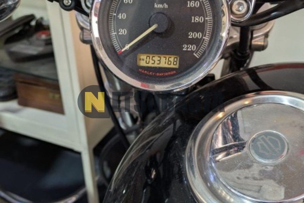 Harley-Davidson Sportster XL 1200C 2010