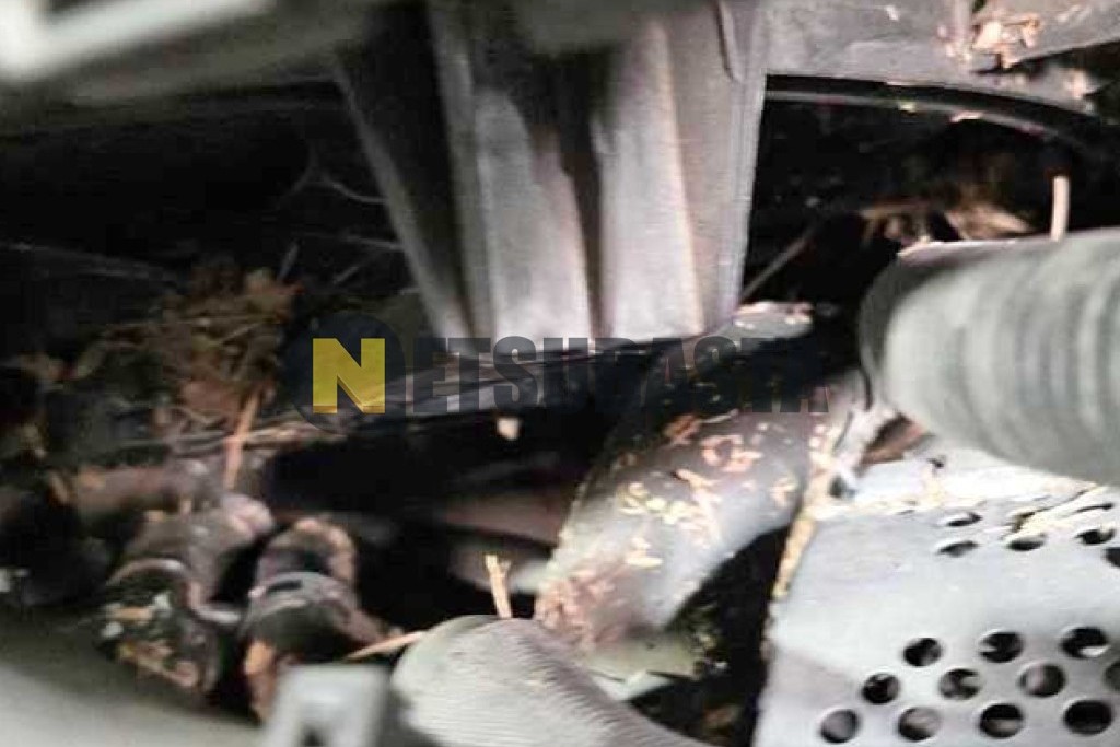 Ford Focus 1.0 EcoBoost 2022