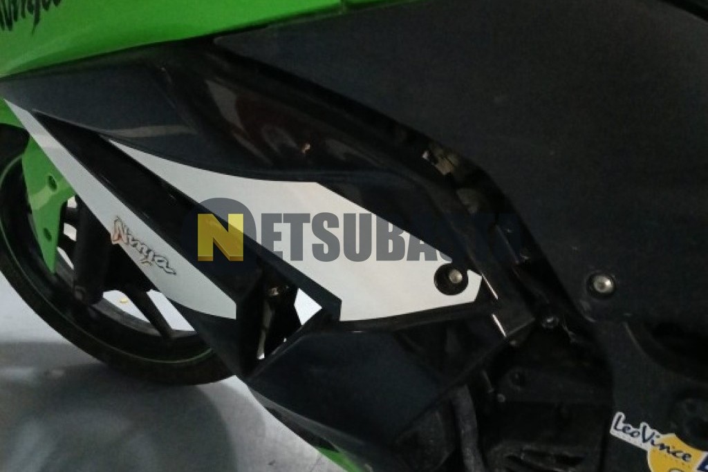 Kawasaki NINJA 250 R 2009