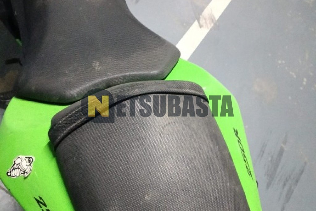 Kawasaki NINJA 250 R 2009