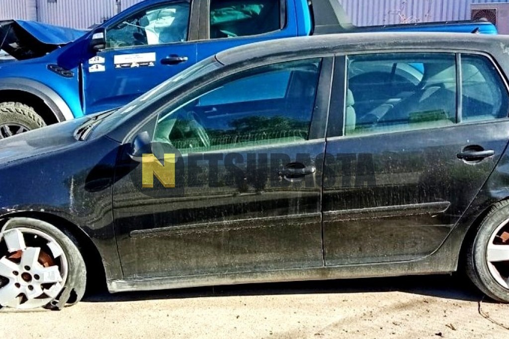 Volkswagen Golf 1.9 TDI 2006