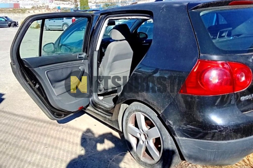 Volkswagen Golf 1.9 TDI 2006