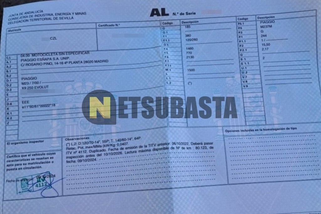 Piaggio X9 Evolution 250 2004