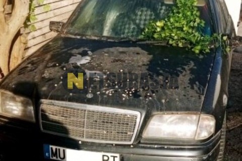 Yamaha Majesty 125 2006