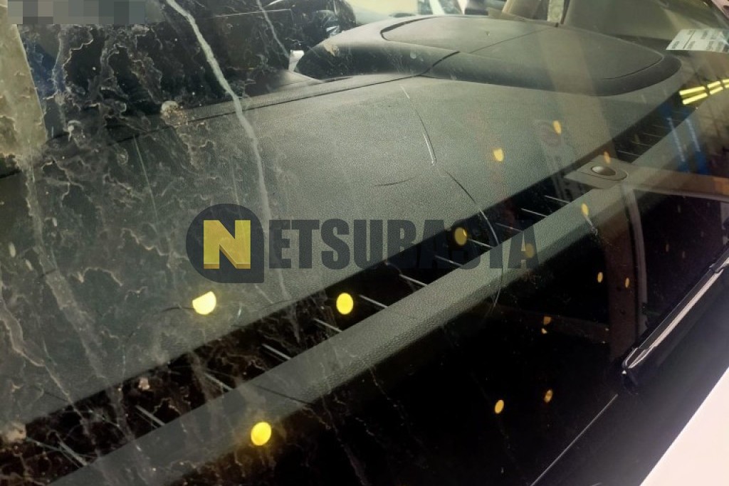 Citroën Berlingo Talla M 1.5 BlueHDi 2024