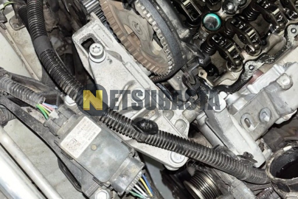 Citroën Berlingo Talla M 1.5 BlueHDi 2022