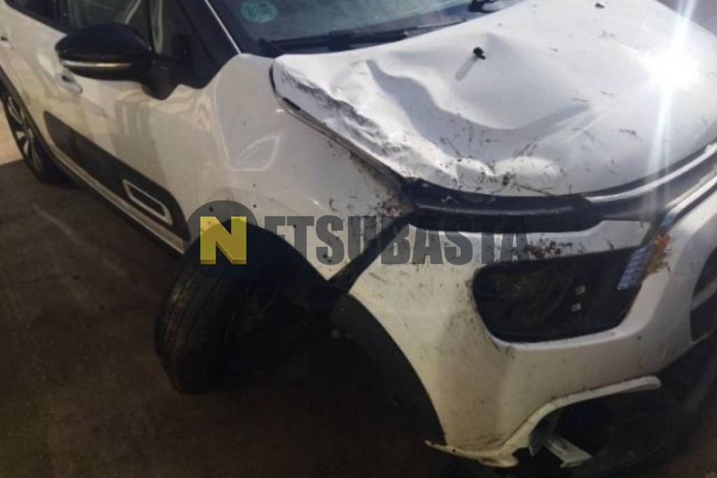 Citroën C3 1.5 BlueHDi 2024