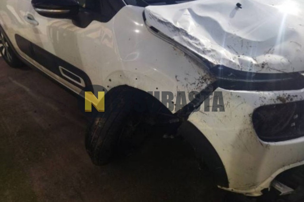 Citroën C3 1.5 BlueHDi 2024