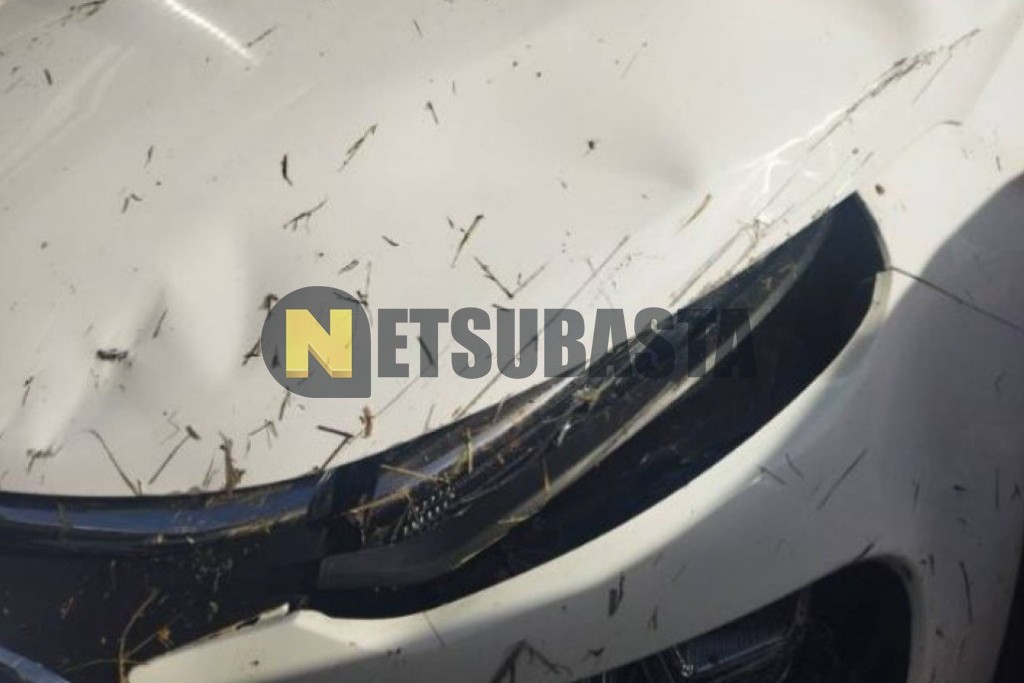 Citroën C3 1.5 BlueHDi 2024