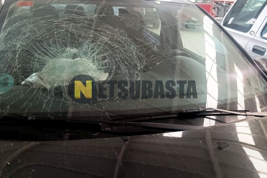 Citroën C-Elysée 1.6 BlueHDi 2017