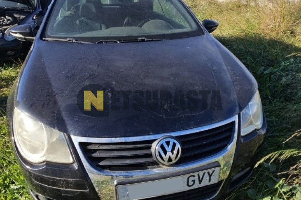 Volkswagen Eos 2.0 TDI 2010