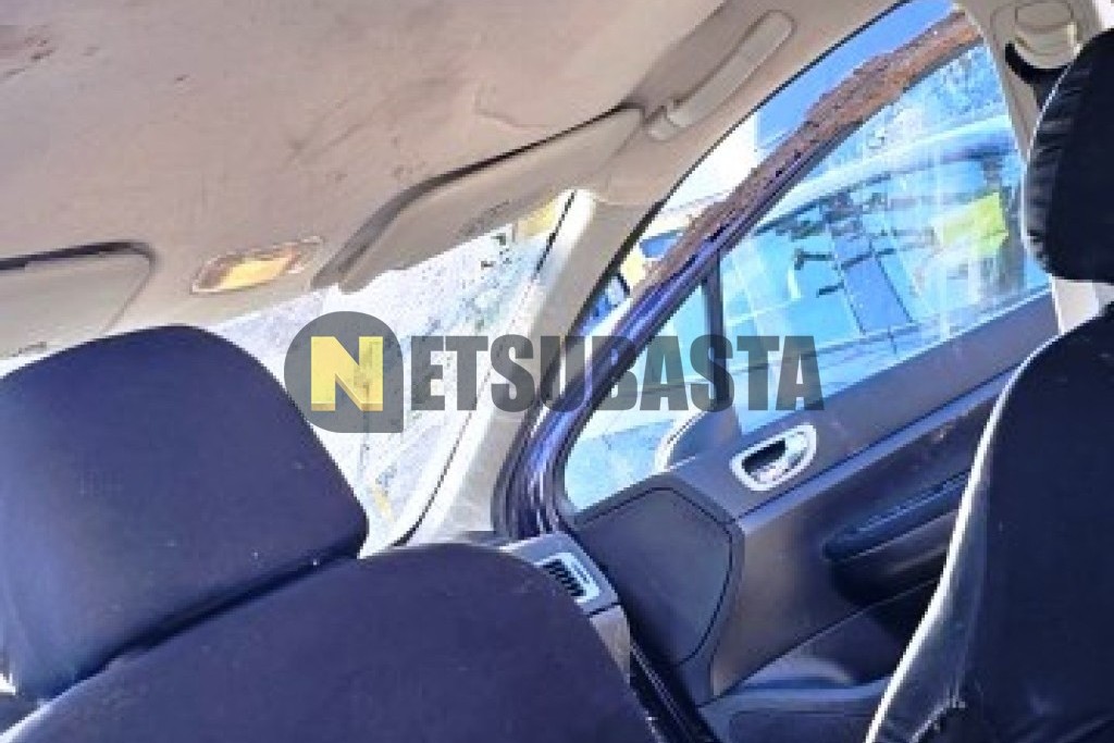 Peugeot 307 2.0 HDi 2004