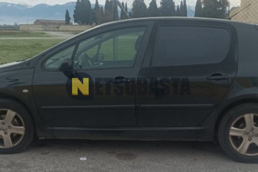 Peugeot 307 2.0 HDi 2004
