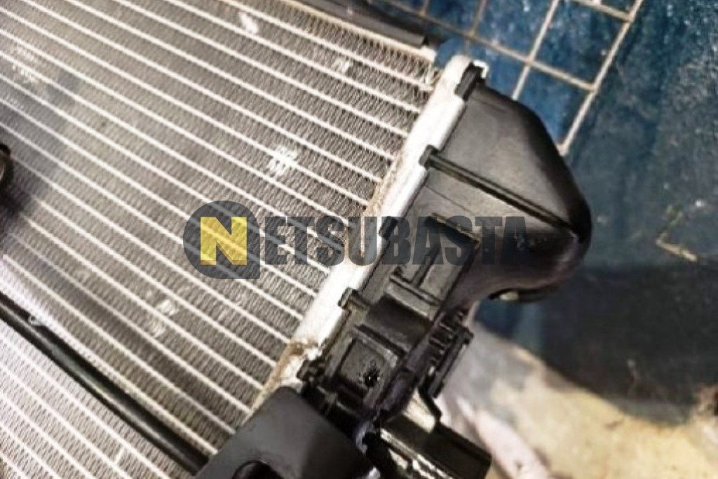 Skoda Fabia 1.0 TSI 2025