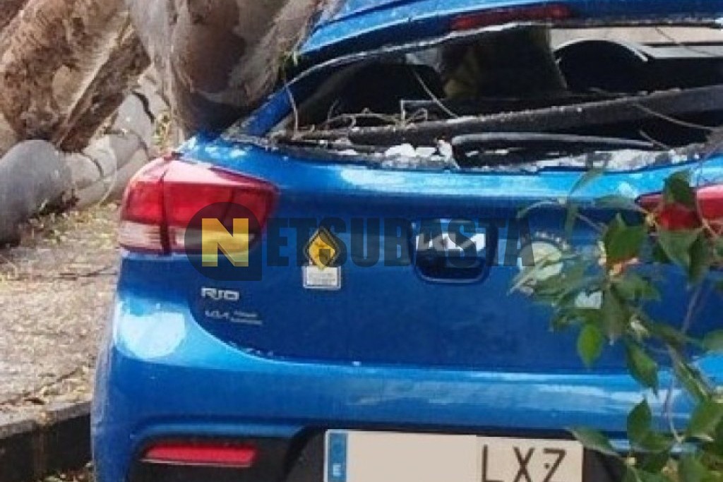 Kia Rio 1.2 DPi 2022