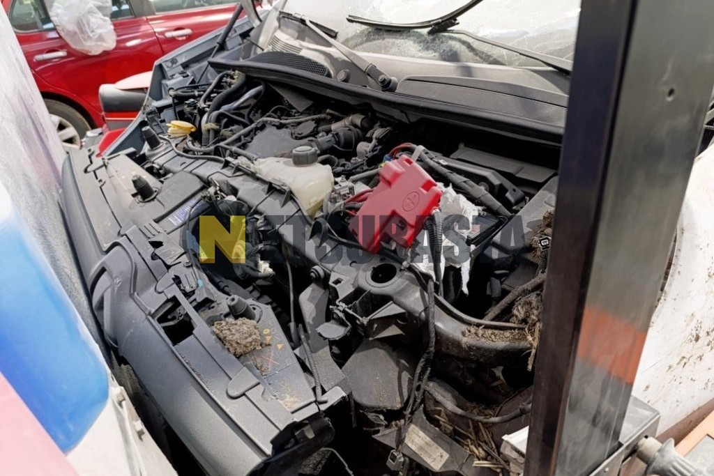 Renault Kangoo Maxi 1.5 Blue dCi Combi 2021