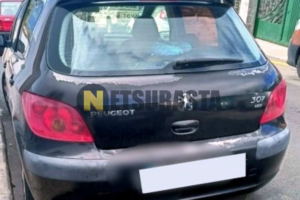 Peugeot 307 1.4 HDi 2004