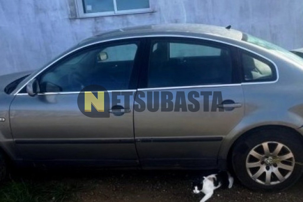 Volkswagen Passat 1.9 TDI 2001