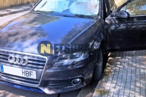 Piaggio MP3 LT 300 2011