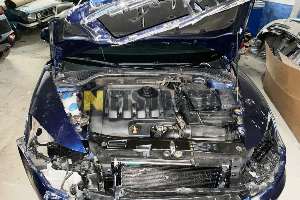 Skoda Octavia 1.9 TDI 2009