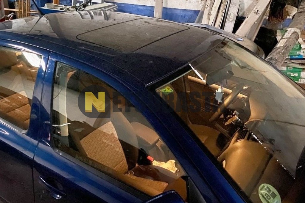 Skoda Octavia 1.9 TDI 2009