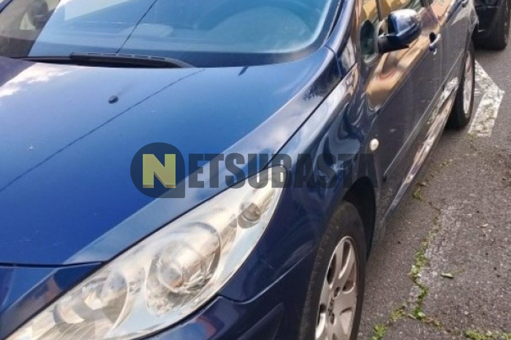 Peugeot 307 1.4 16v 2006