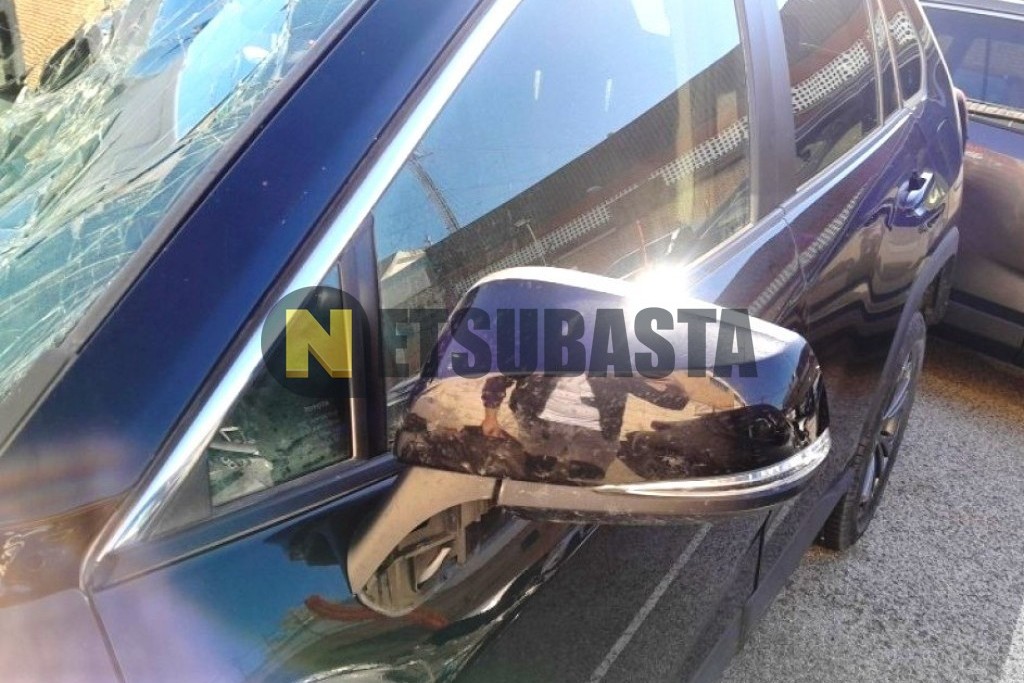 Toyota RAV4 Hybrid 220H 4x4 2024