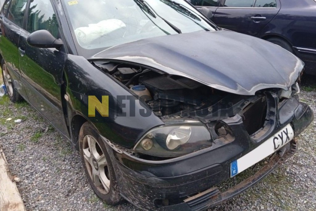 Seat Ibiza 1.9 TDi 2004