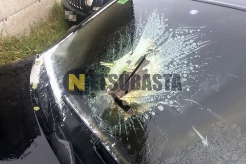 Wottan Storm-S 300 2022