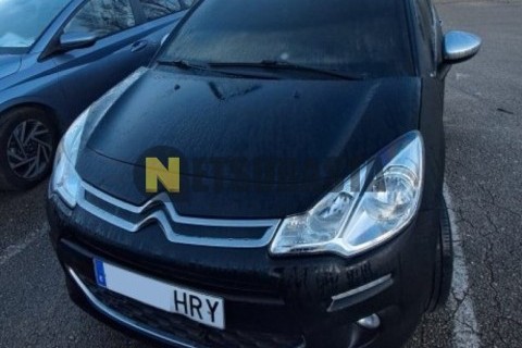 Wottan Storm-S 300 2022