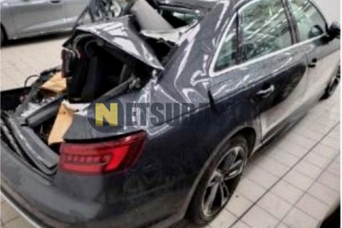 Wottan Storm-S 300 2022