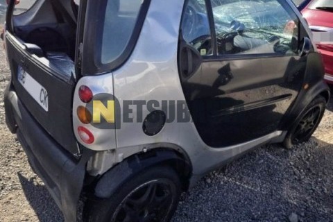 Wottan Storm-S 300 2022