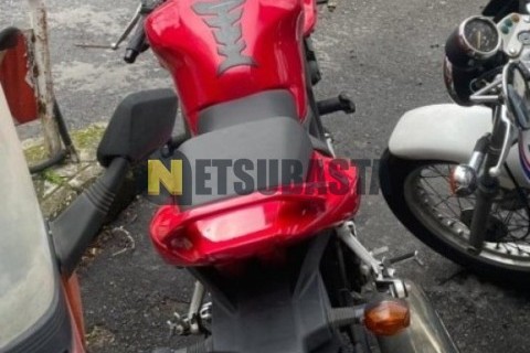 Wottan Storm-S 300 2022