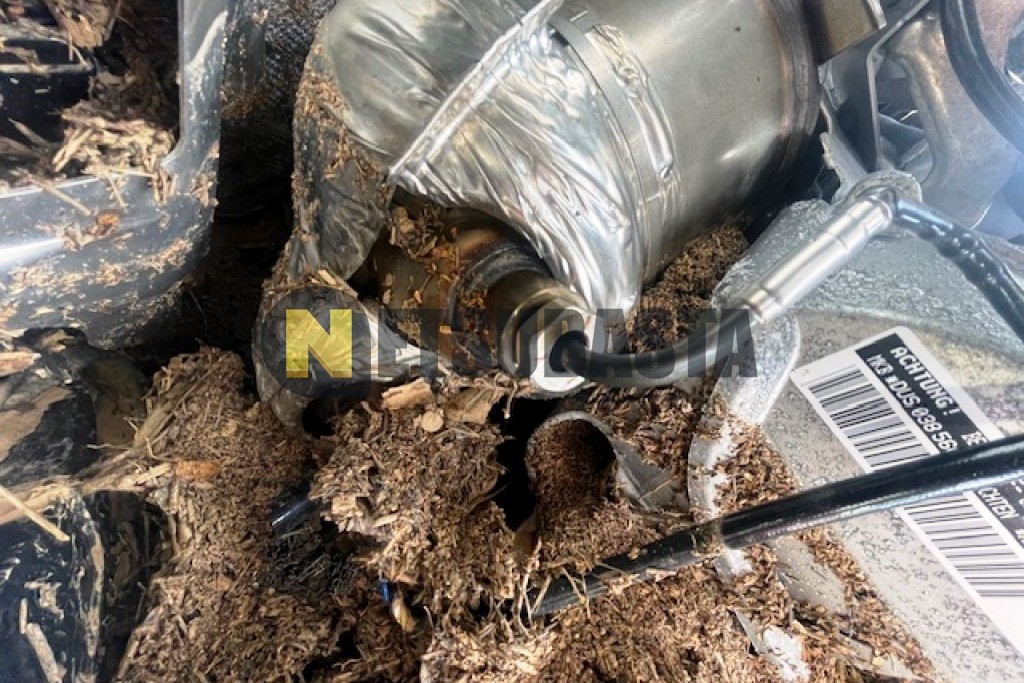 Volkswagen Polo 1.0 TSI 2024