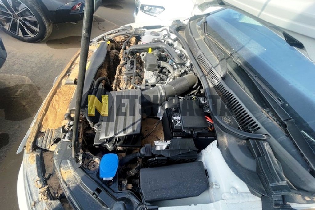 Volkswagen Polo 1.0 TSI 2024