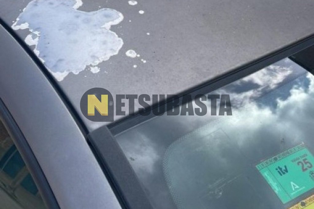 Renault Clio 1.5 dCi 2007