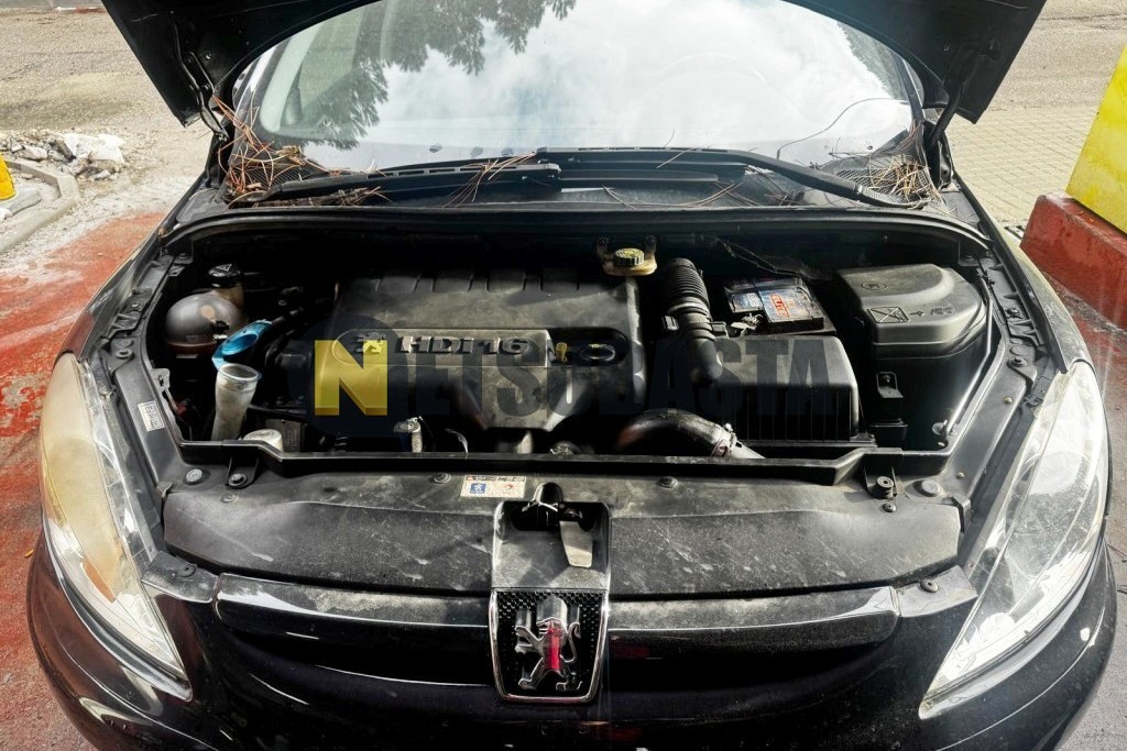 Peugeot 307 SW 2.0 HDi 2004