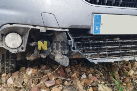 SYM Symphony 125 2014