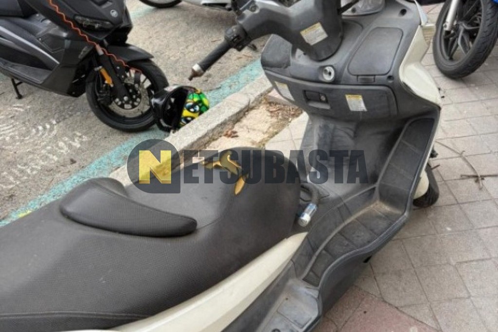 Suzuki BURGMAN 125 2009