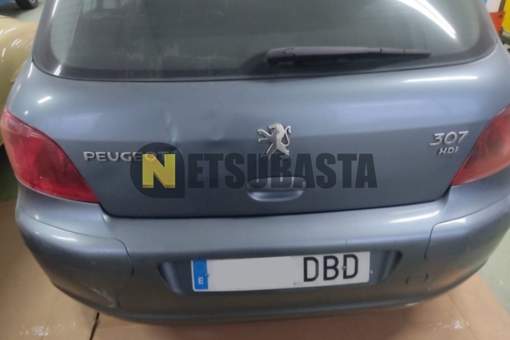 Peugeot 307 1.6 HDi 2004