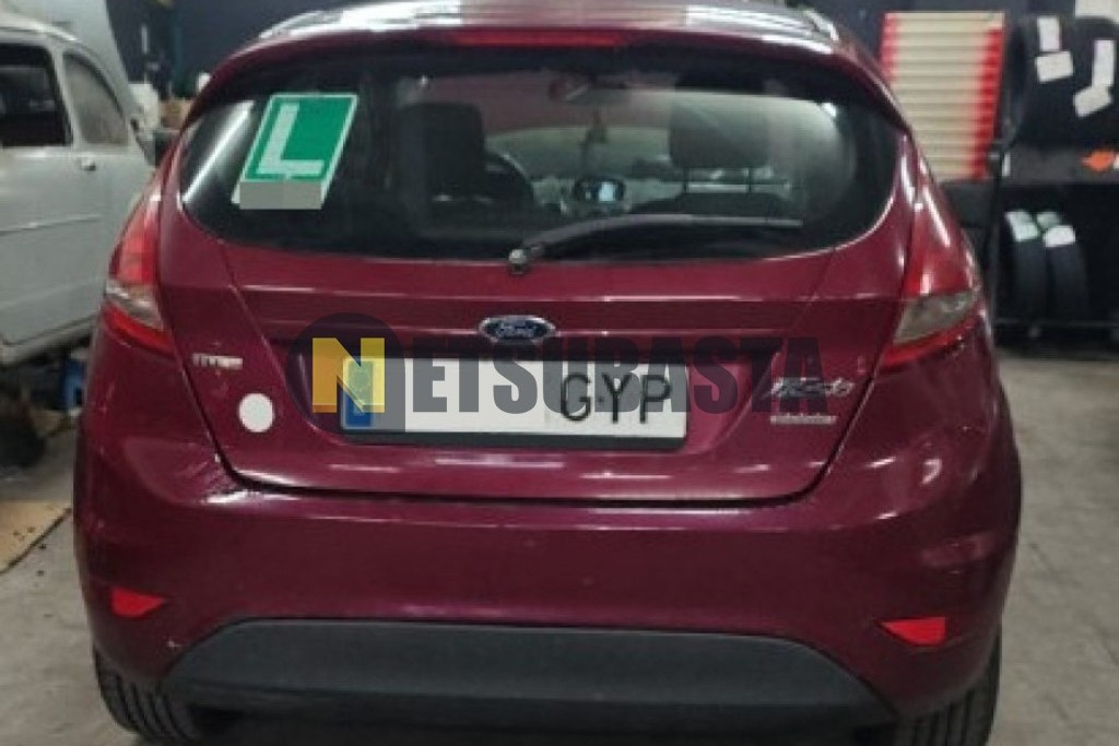 Ford Fiesta 1.4 TDCi 2010