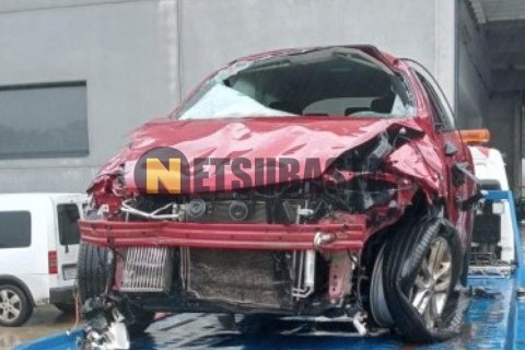 Suzuki Inazuma 250 2013