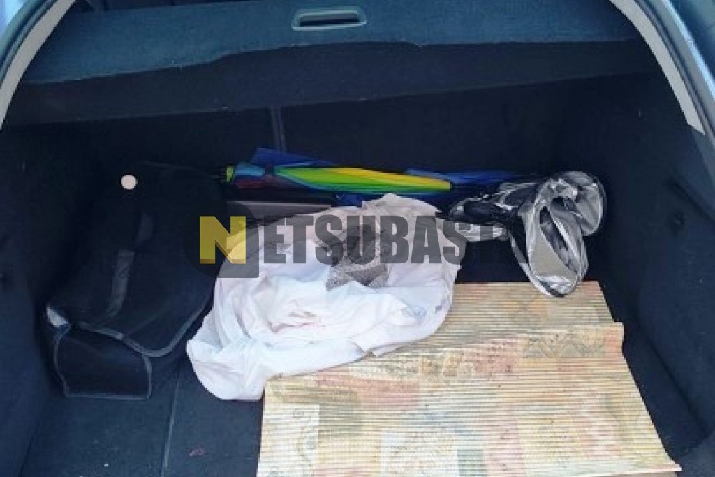 Peugeot 407 SW 1.6 HDi 2005