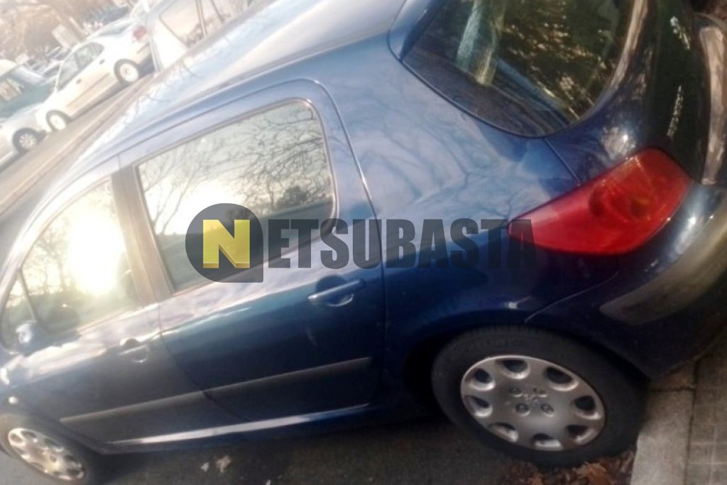 Peugeot 307 1.6 2002