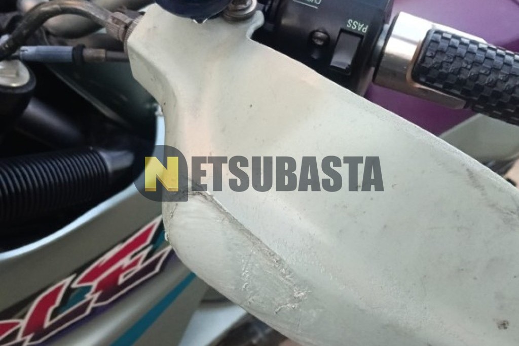 Kawasaki KLE 500 1995