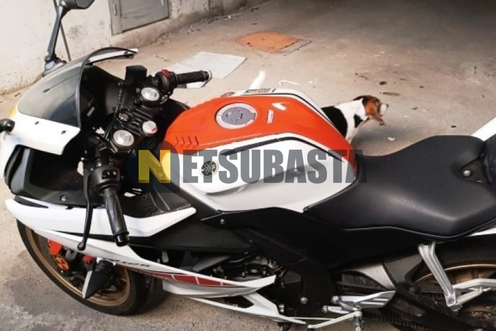 Yamaha YZF R 125 2022